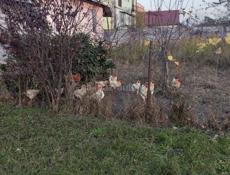 Срочно продаётся дом. 