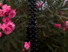 Сумки из бусин