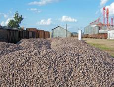 Любые строительные работы . 