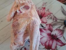 Чищенный индюк