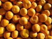 Продаю мандарины и лимоны