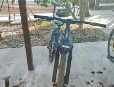 Велик горный