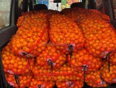 Мелкий 🍊 25 руб 