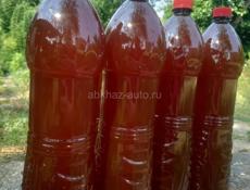 Продаю горный мед.