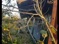 Контейнер 12 метровый 