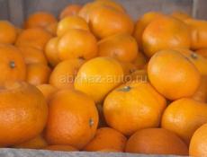 Мандарины 