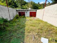 Интересное предложение 