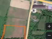 Бамбора 50 сотых