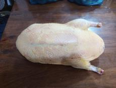 Утки и индоутки.