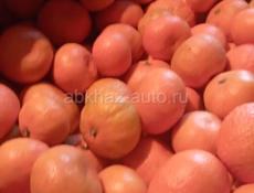 Продажа мандарин 