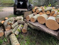 Дрова под заказ