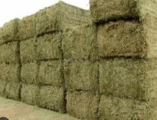 Сено люцерна и разнотравье 