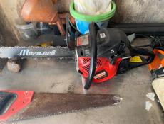 Новая дружба 