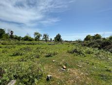 Срочная продажа ‼️