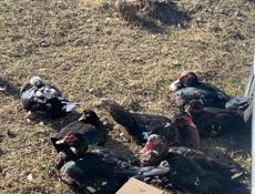 Курица и утка