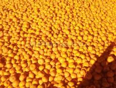 мандарин продаем вес аранжевый средний крупный по 75 , мелкий 50 руб, собран до десяти тонн, не собран до 30 тонн и выше