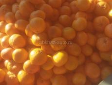 Мандарин 15т