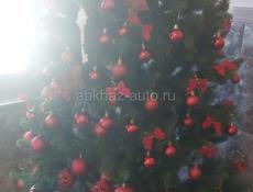 Здам квартиру в синопе. 