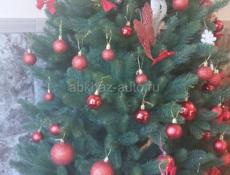 Сдам квартиру свою в синопе жилую.