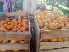 Продам мандарин за 1 кг 50р ,лимон 1 кг 60р, апельсины за 1 кг 50р