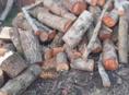 Продаю дрова