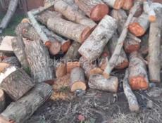 Продаю дрова