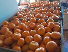 ПРОДАЮТСЯ МАНДАРИНЫ.