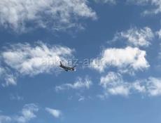 Пойдём на сбор мандаринов!