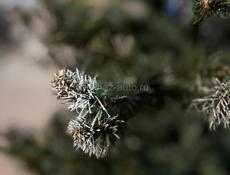 Елка искусственная 