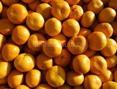 Продаю мандарины и лимоны