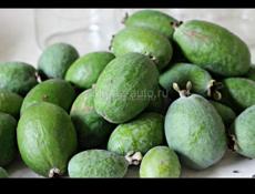 Принимаю фейхуа хурма плоский 