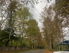 📌 ДОМ ТКУАРЧАЛ