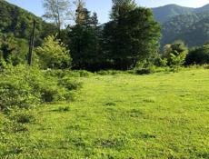 Рица продаю участок срочно)