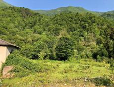 Рица продаю участок срочно)