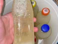 Медвежий жир 