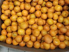 Мандарины 