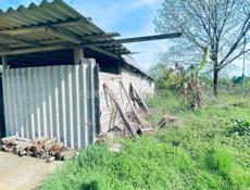 ТВОЙ РАЙСКИЙ УГОЛОК В АБХАЗИИ! Дом с огромным садом в Атаре Армянской!