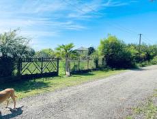 ТВОЙ РАЙСКИЙ УГОЛОК В АБХАЗИИ! Дом с огромным садом в Атаре Армянской!