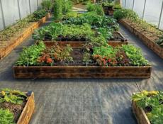 Строительство теплиц, ремонт помещений, расчистка участков.