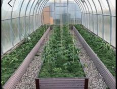 Строительство теплиц, ремонт помещений, расчистка участков.