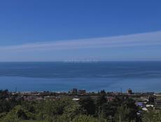 Гагра . Цандрипш 