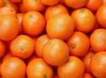 МАНДАРИНЫ