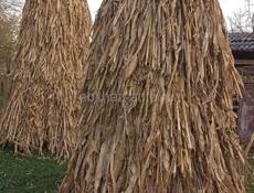 Продаётся Чала