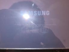 Пойдём на сбор мандаринов 