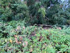 Участок в хорошем месте.