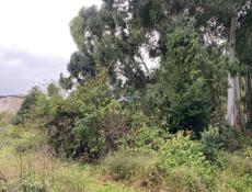 Участок в хорошем месте.