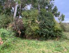 Участок в хорошем месте.