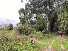 Участок в хорошем месте.