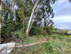 Участок в хорошем месте.