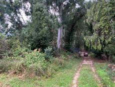 Участок в хорошем месте.